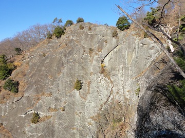 ��a�R�̒t������