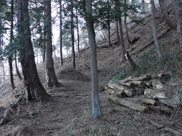 ��S�R�E�n�`�̃e���X