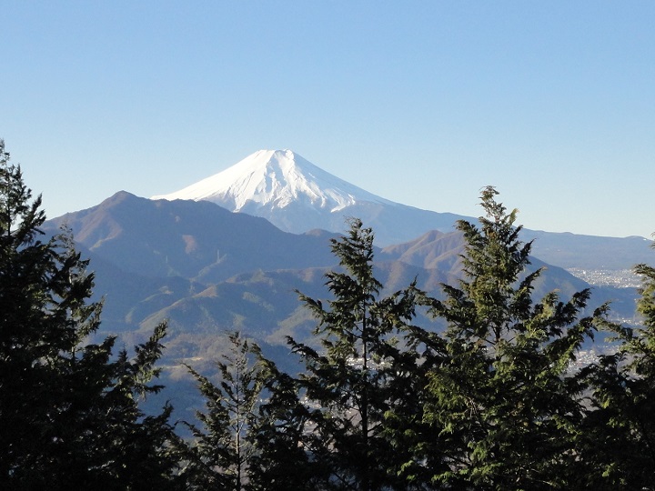 ��S�R�E�x�m���䂩�猩���x�m�R