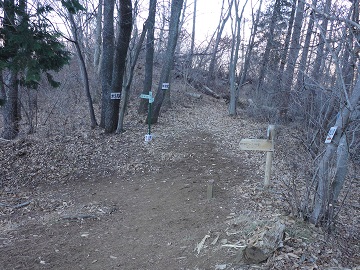 �r�̎R�R�[�X�E�����_�Е���