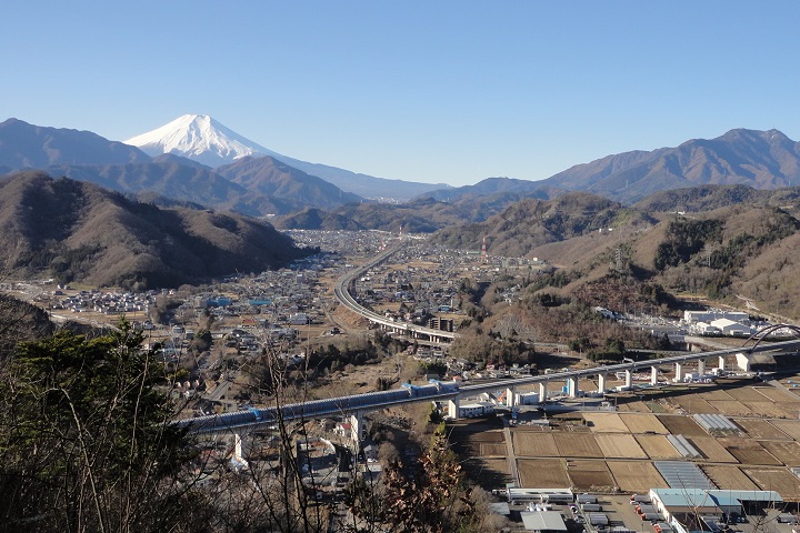 ��S�R����x�m�R�ƃ��j�A�������̒���