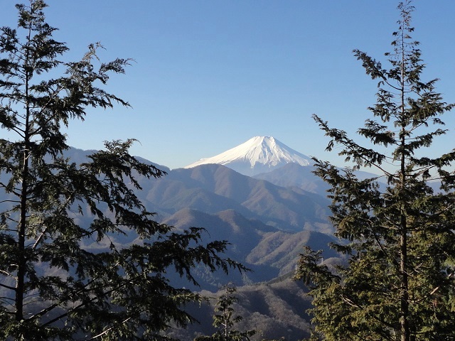 �����R���猩���x�m�R