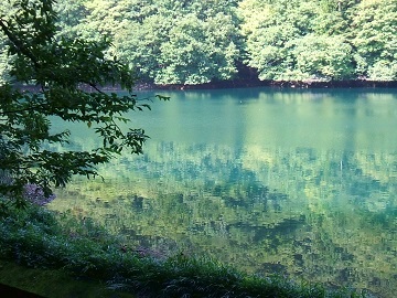 �������r