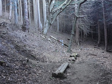 �����R�̐�l������