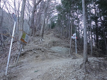 ����R�E�j��Ə���̕���