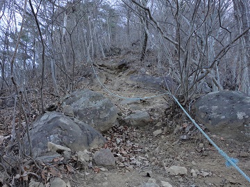 ����R�E�j��