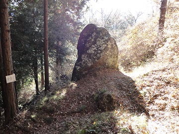 ����R�ٌ̕c��