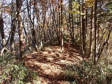 ���䕽����