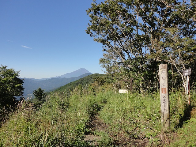 �a�o������ؔ��R