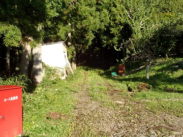 �ؔ��R�̓o�R��