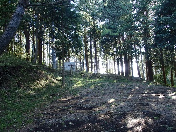 �ؔ��R�����̃e���r���p��