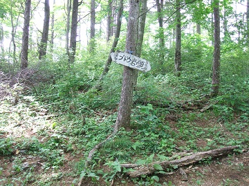 �u�h�E��m��