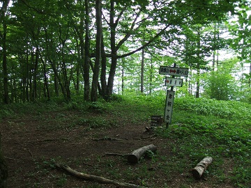 ���u�E�����R