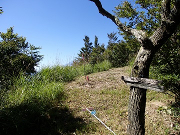 ���u�E�H�R��