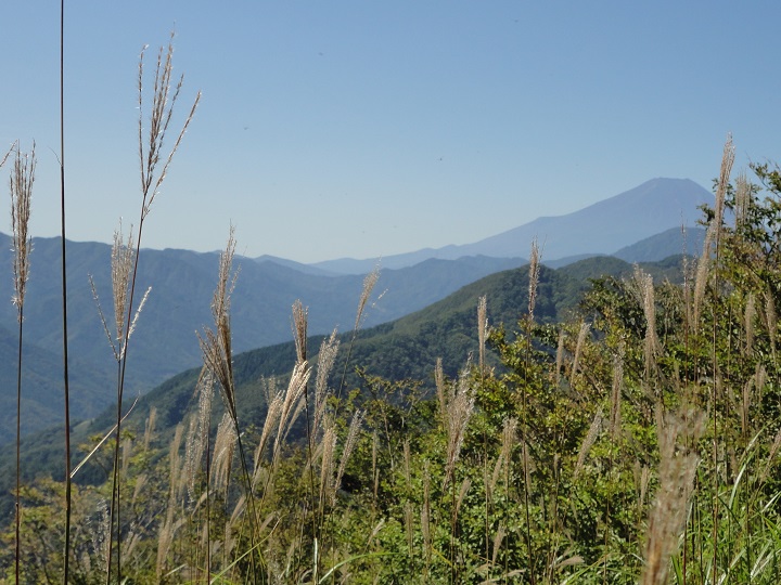 ���u�E�H�R�����猩���x�m�R