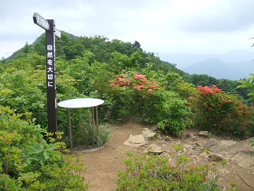 �Ԋ�i���R�j�̃c�c�W