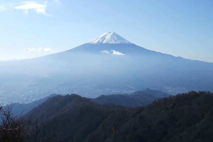 �O�c���R�i�J�^�R�j���猩���x�m�R