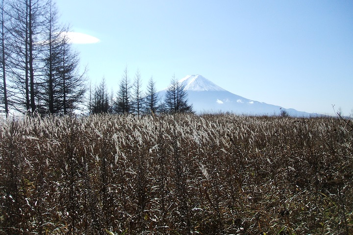 �O�c���R�i�ؖ��R�j���猩���x�m�R