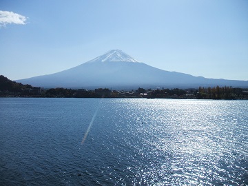 �͌��΂ƕx�m�R