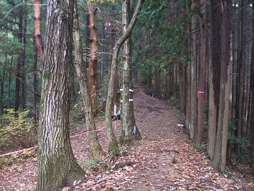 ���䍇���_