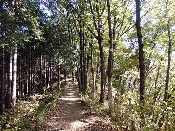 �w�n�R�E��m����