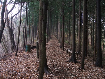 �a�c��ꍇ���_