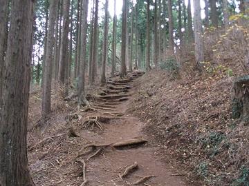 �w�n�R�E�ȒJ����