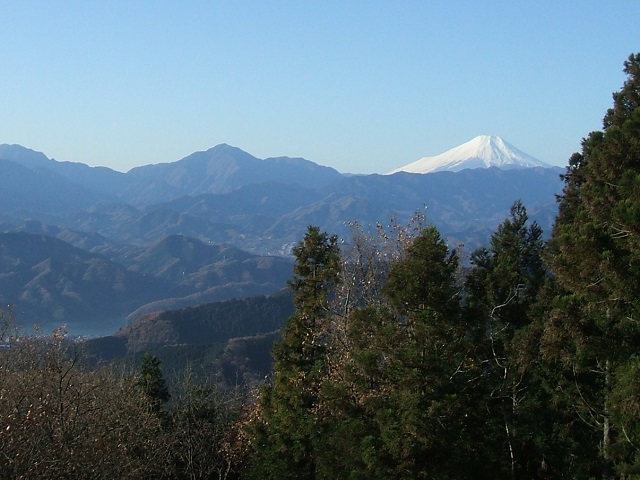 �i�M�R���猩���x�m�R