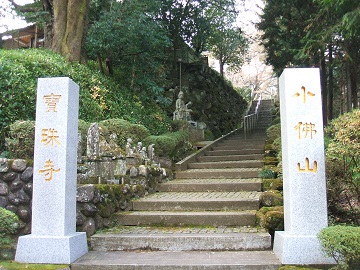 �����̕�쎛