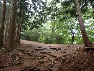 ������R�[�X�ƍ���