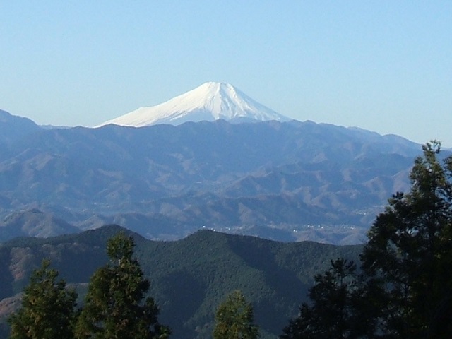 �i�M�R���猩���x�m�R