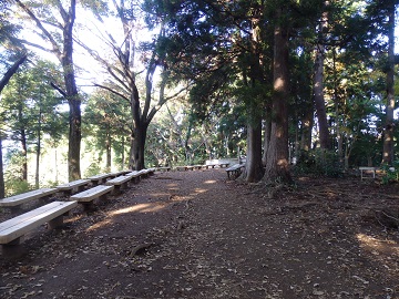 �������̒�����