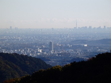 ���������猩���X�J�C�c���[