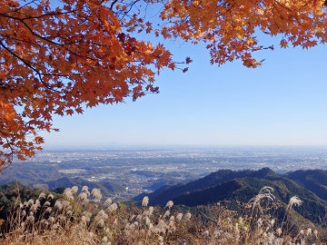 �i�M�R�̍g�t�ƃX�X�L