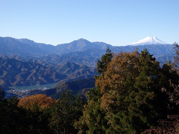 �i�M�R���猩���x�m�R�Ƒ��͌�