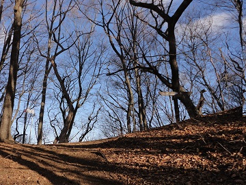 ��v�ۂ̃R��