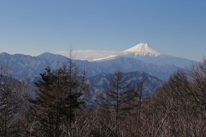 ��R���猩���x�m�R