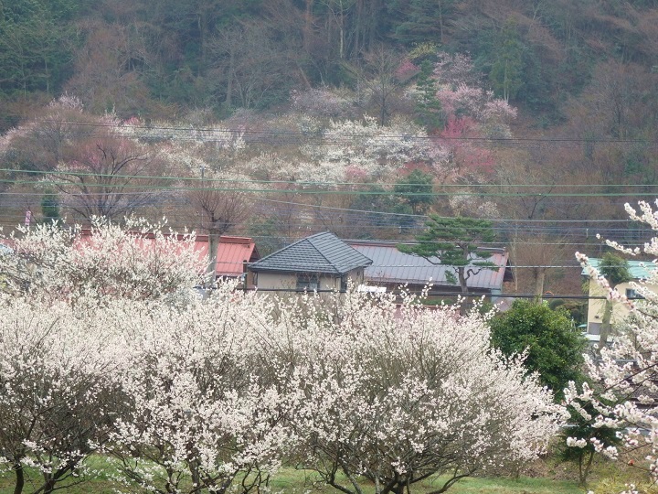 �����~��