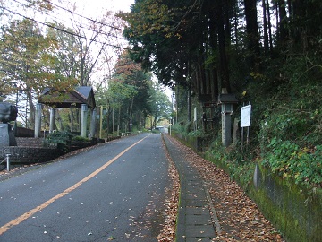 ���R�o�R��