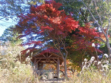 �������E�x�m���䉀�n