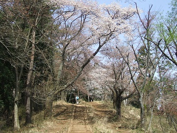 �꒚���̃��}�U�N��