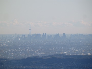 ������R���猩���X�J�C�c���[