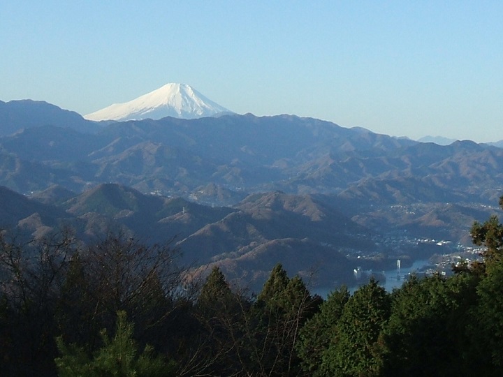 ������R���猩���x�m�R�Ƒ��͌�