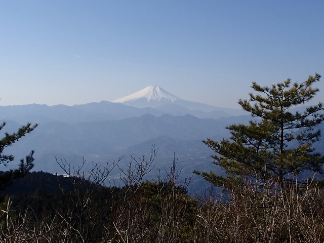 �����R���猩���x�m�R