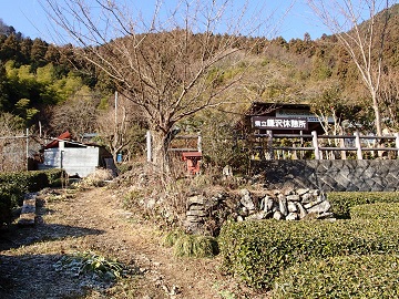 ����x�e��