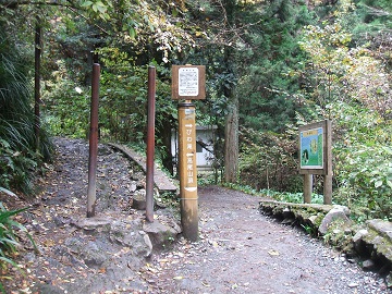 ���i��ւ̕���