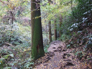 ���i��R�[�X