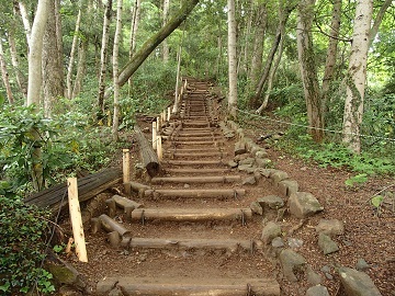 ���i��R�[�X