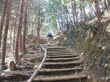 ��׎R�R�[�X