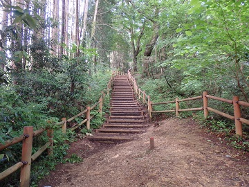 ���i��R�[�X�ւ̕���